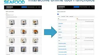 Online tool for health risk-benefit communication about seafood consumption - Eng. Fien Minnens