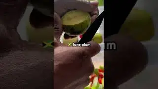 Wow look at this amazing pork leg in Jamaican June plum sauce #juneplum #shorts