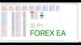 Average grid price in multi-pair EA trading (Multi-PipStep + Multi-LastTP) - EA MPGOv5(MT5)