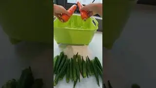 𝓥𝓛𝓞𝓖 | 养三十只猫和两只小狗真的好忙！ 但是也真的好幸福！ #第一视角养宠vlog #养宠人的日常 #第一视角开箱 #我的养宠日常 #铲屎官vlog