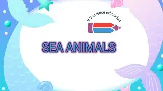 SEA ANIMALS|SCIENCE FOR KIDS|kidsEducationalvideos|primary learning| V V science education