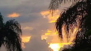 Fluid Vision