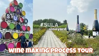 Sula Vineyard🍷 factory and making process tour🏭 #sulavineyards #nashik #wine 