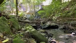 Relaxing by the stream