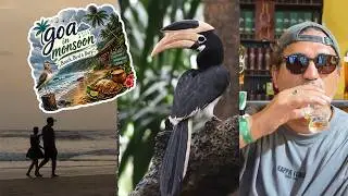 Birding in Goa ! Beach, Bird & Burp