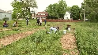 Linden non-profit looks to use gardening to fight food insecurity, keep kids safe