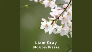 Lavender Mist