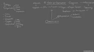 Biology 1.1 [ Introduction to Biology ]