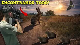 Hares, otters, guinea pigs, pigeons, and iguanas | Hunting with PCP rifles and slingshots | We fi...