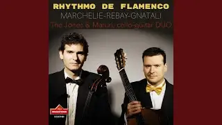 Sonata for Cello & Guitar, Op. 60: II. Andante