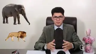 اكتشاف جديد ورااااائع عن السمنة . أمين صبري