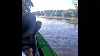 Fishing After Sunset &ndash; Wild Style #survivalfishing#bushcraftfishing#diy