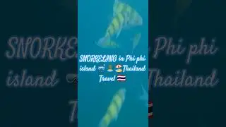 SNORKELING in Phi phi island 🤿🏝️🏖️Thailand Travel 🇹🇭#youtubeshorts&nbsp;#snorkeling&nbsp;#phiphiislands