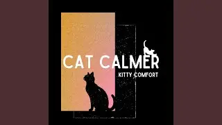 Kitty Comfort