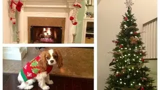 Decorating for Christmas!! Style By Dani