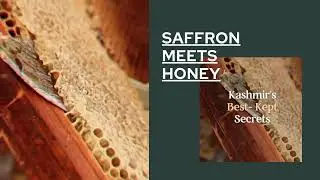 Watch the golden magic unfold-Nature's luxury fusion-saffron meets honey!