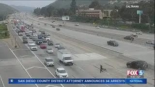 Woman with dog leads pursuit on San Diego highway