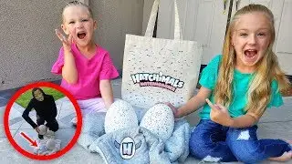 Game Master Leaves Mystery Eggs and Top Secret Message!! Hatchimals HatchiBabies!