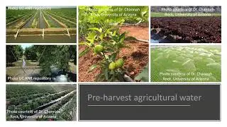 Post Harvest Agriculture Water Safety- Dr. Erin DiCaprio
