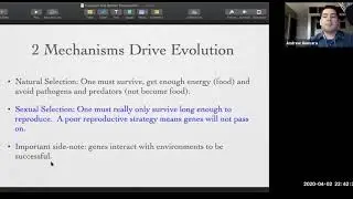 Understanding and Applying Evolution to Literature and Culture