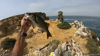 Pesca ao tento, bóia fora de água 2020💪🎣🇵🇹