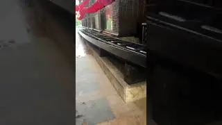 Лодка дракона Китай. Гуанчжоу.