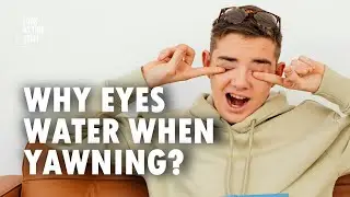 Why Our Eyes Water When We Yawn