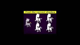 Find the correct shadow of zebra ? #shorts | hindi riddles