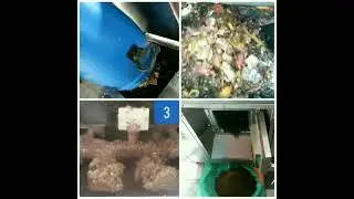 Automatic Organic Waste Converter Working Video