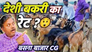 छत्तीसगढ़ की देसी बकरी रेट 😮 | Basna Bakri Bazaar CG