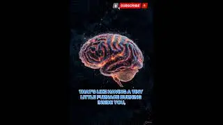 Your Brain Uses More Energy Than You Think (8D Fact)