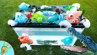 Learn Animals that LOVE WATER in Bubbly Fish Tank! Kids Education with Squishee Nugget