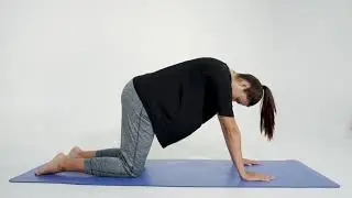 Cat Camel Second Trimester - Nurture Mat Pregnancy Exercise Program