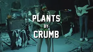 Plants by Crumb @ The Sinclair