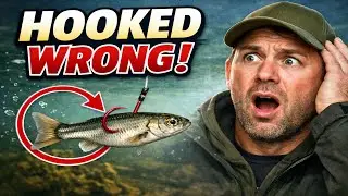Your Live Minnow is INVISIBLE to Fish If You Do THIS.