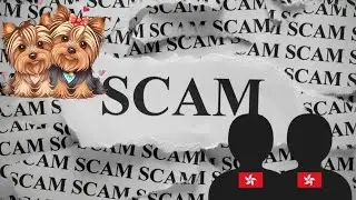 Scammer Watches His Own Scam Fail In Real Time! PART ONE!