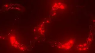 🔥 Red Energy Flow Animation Loop | Glowing Particle Background 4K | FREE TO USE