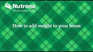 How to Add Weight to Your Horse