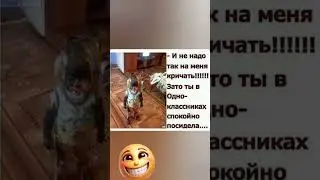 Спокойно Посидела😆#юмор#мем#прикол#смех#жиза#анекдоты#шутки#смешнойшортс#shorts#memes#угар#ржака