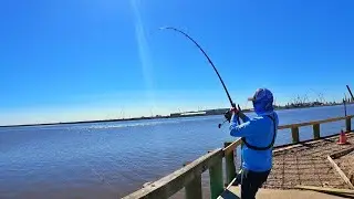 These Fisherman Catches Huge Bull Red Fish | Fishing the Bull Red Run