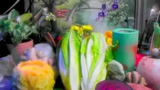 Lettuce Juice Benefits~ Pain & Inflammation Reducing ~ Sedative ~Benefits of Lettuce Juice