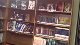 Young Adult area with Adult Bios and Classics