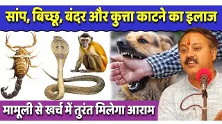 Rajiv Dixit - सांप, बिच्छू, बंदर और कुत्ता काटने पर क्या करें | Snake, Dog, Scorpion, Monkey Bite