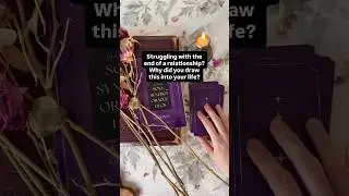 Why did I draw this type of relationship into my life - Oracle Wisdom #oracle