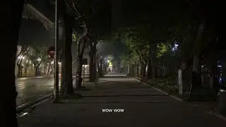 pov : a cas playlist for a long walk in winter