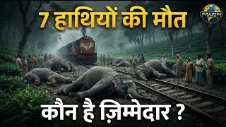 How were 7 elephants killed at once? | Elephant Train Accident Assam | Real Incident