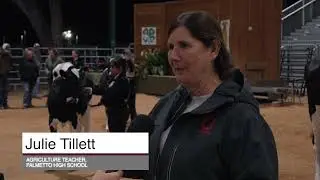 METV Spotlight - Manatee County Fair Dairy Showmanship