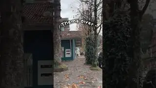 Theme diver!! - 🫶🏼🥨 | small town charm/horses/catsss!! EEK 🍁