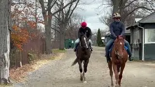 2025 11 30 Onepac going to workout