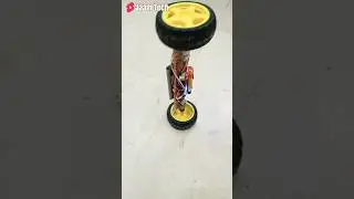 How We Can Make A RC Car Two Wheels 🛞🛞 at home made #diy #diyrccar #toys #experiment #gearmotor #rc2